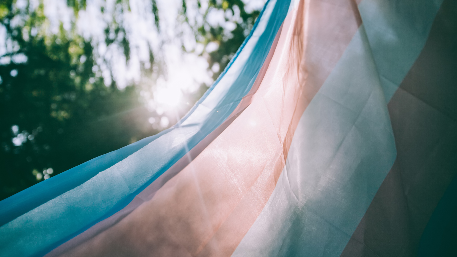 trans flag waving int he breeze with trees in the background